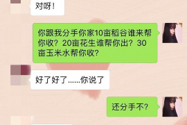 兴山专业讨债公司有哪些核心服务？